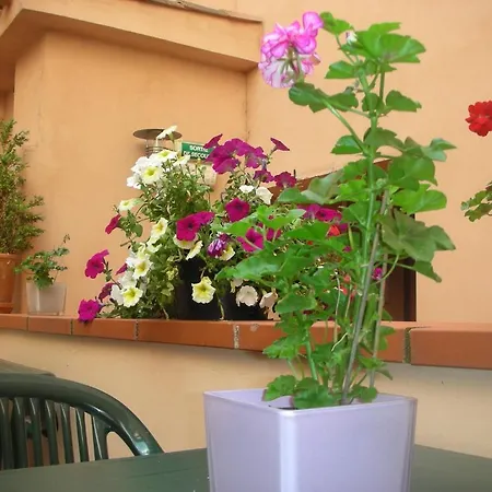 Castellane Hotel Toulouse